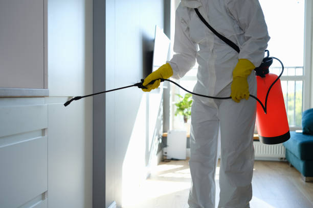  Nashville, TN Mold Removal Pros